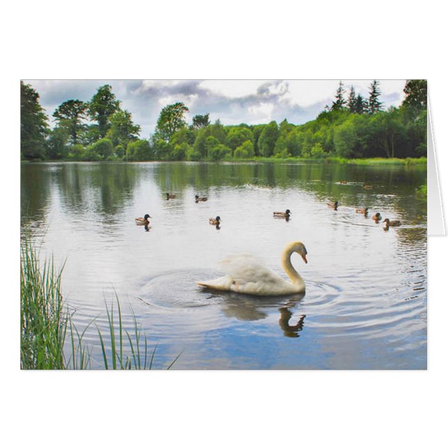 El Lago Tranquilo (Anverso (Horizontal))