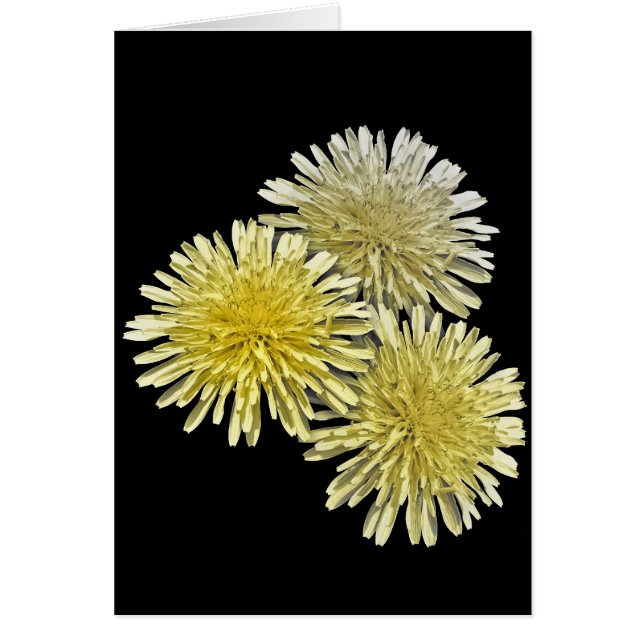 El látigo de la vecindad (Frente)