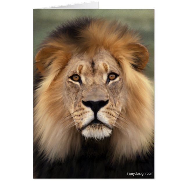 El león (Frente)