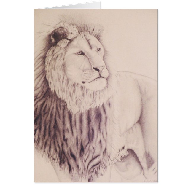 El león de Judah - dibuje a lápiz en el papel Var (Frente)