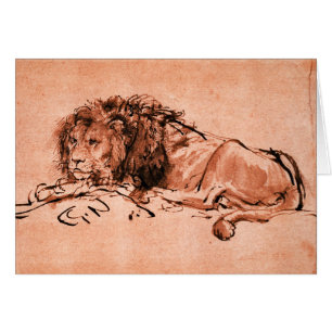 EL LEÓN DEL CAPE ACOSTADO ,Rosa Negro