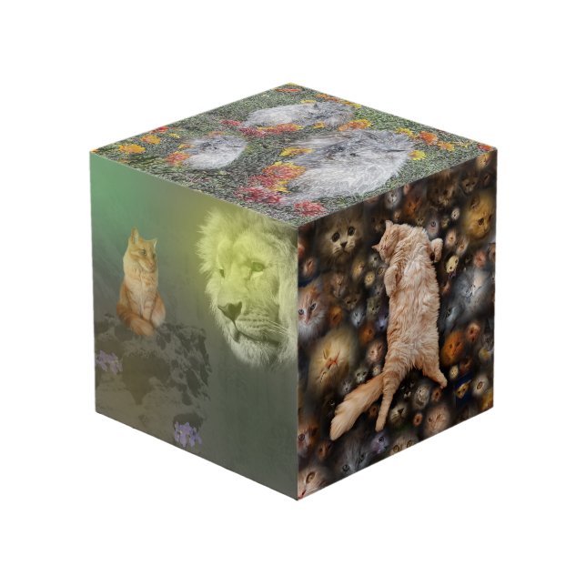 El León Y El Gato, Más Los Amigos, Cubo Fotográfic (Angulo Anverso)