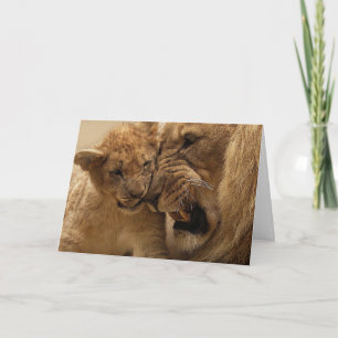 El león y la tarjeta de Cub