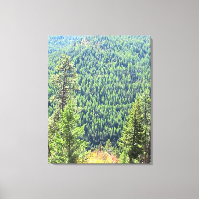 El lienzo envuelto (Anverso)