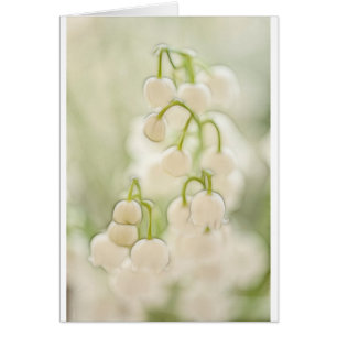 El lirio de los valles florece bosquejo