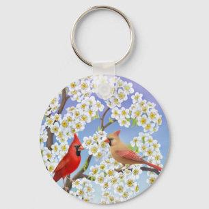 El llavero de los cardenales