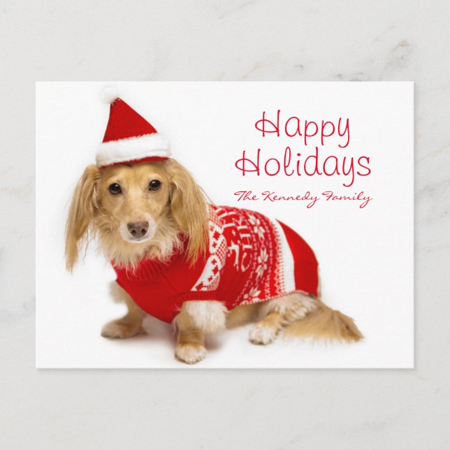 El llevar de pelo largo del dachshund navidad rojo (Anverso)
