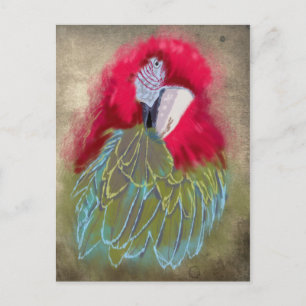 El loro - postal