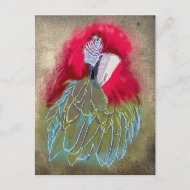 El loro - postal (Anverso)