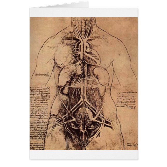 El los órganos del principio y vascular y (Frente)