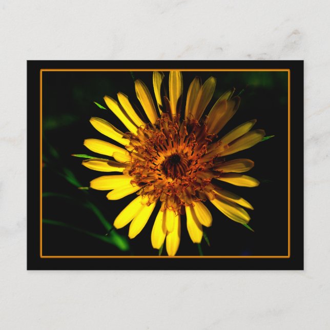 El lugar de la postal (Anverso)