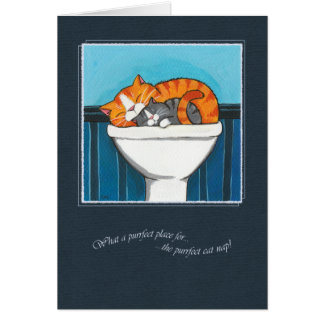 El lugar de Purrfect para una siesta del gato -