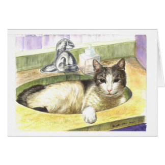 El lugar preferido de un gato