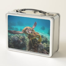 El Lunchbox de Honu