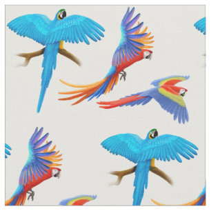 El Macaw colorido repite mecánicamente la tela