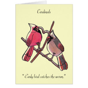 "El madrugador atrapa al gusano... los cardenales.
