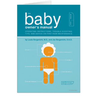 El manual del dueño del bebé
