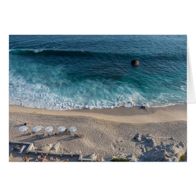 El mar de Cortez (Anverso (Horizontal))