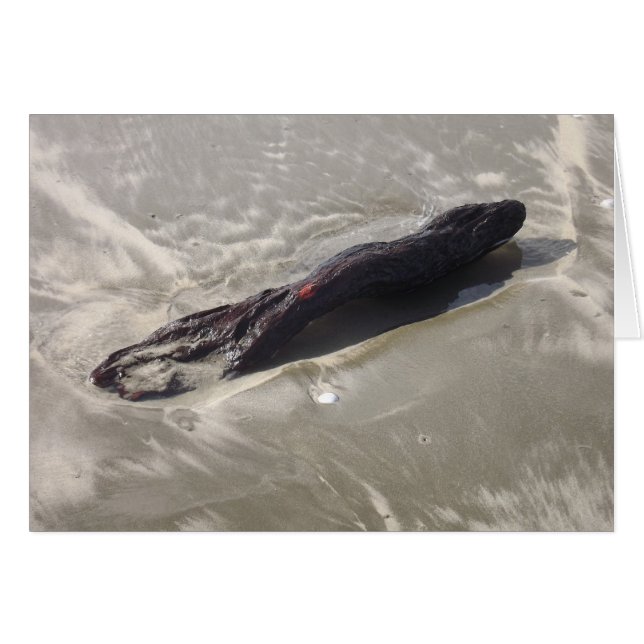 El marisco en Sandy Beach (Anverso (Horizontal))