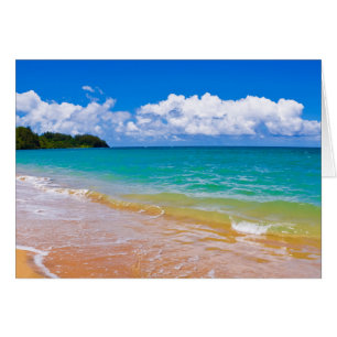 El Marítimo A Lo Largo De La Bahía De Hanalei