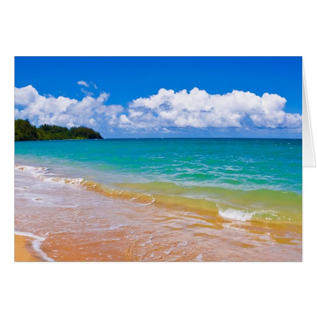 El Marítimo A Lo Largo De La Bahía De Hanalei (Anverso (Horizontal))