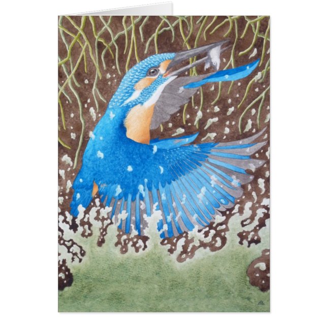 El martín pescador común (Frente)