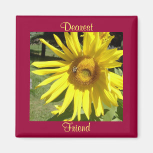 El más estimado, imán del Amigo-Girasol w/Bee