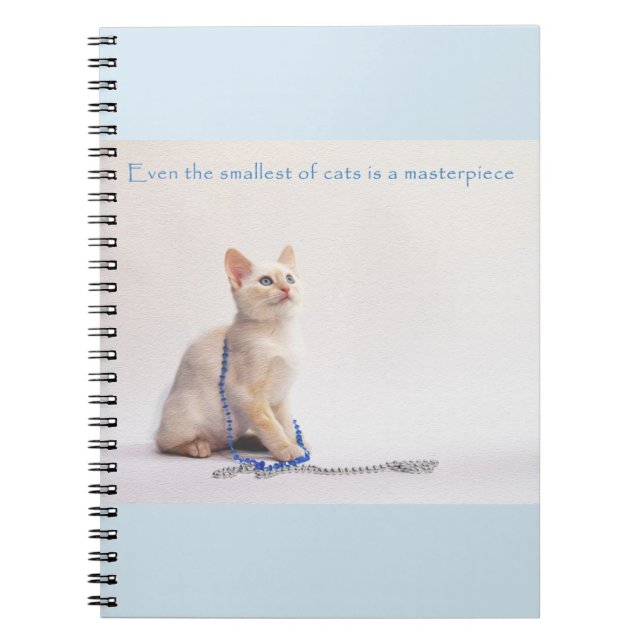 El más pequeño del cuaderno de los gatos: Farrah (Frente)
