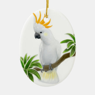 El mayor ornamento cítrico del Cockatoo