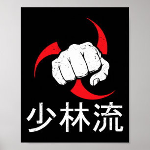 El mejor arte marcial del Shorin Ryu Karate desde 