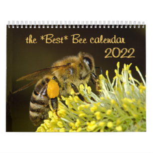 El mejor calendario de apuestas 2020 con fotos y d
