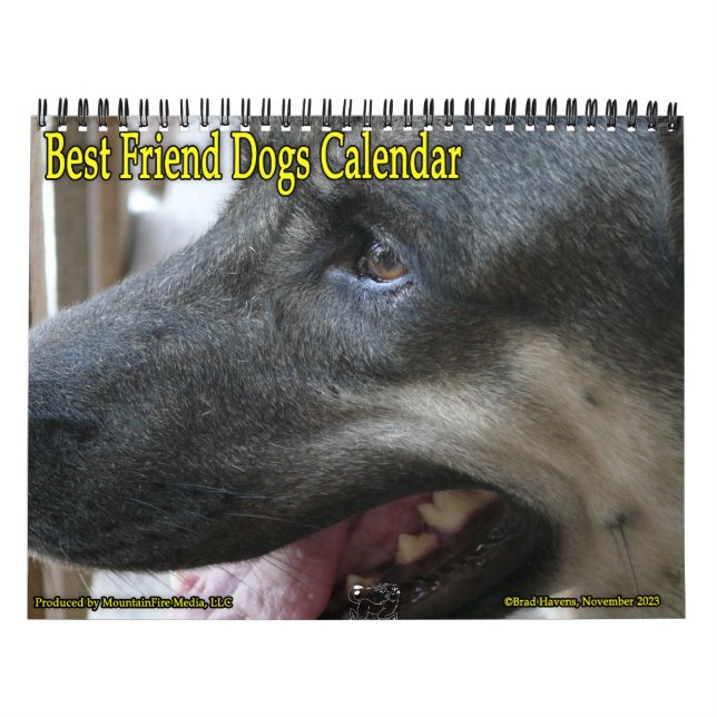 ¡El mejor calendario de perros amigos! (Tapa)