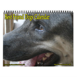 ¡El mejor calendario de perros amigos!