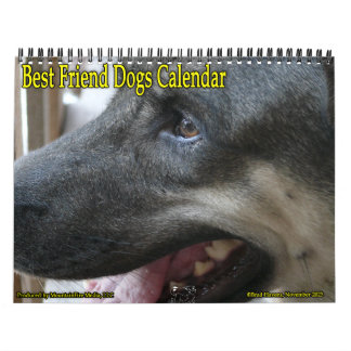 ¡El mejor calendario de perros amigos!