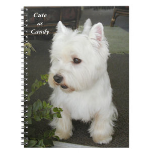 El mejor cuaderno del oeste de Terrier de la