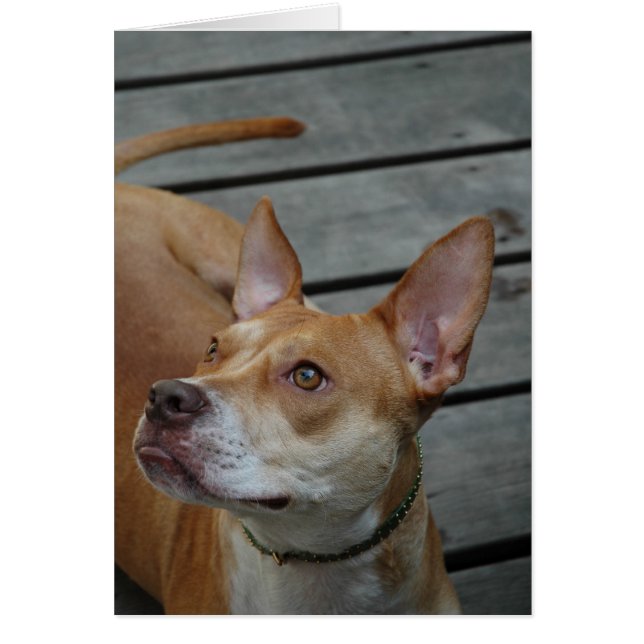 El mejor en hombre (Frente)