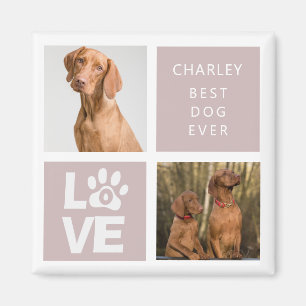 El Mejor Perro del Mundo Imán de Foto Personaliz