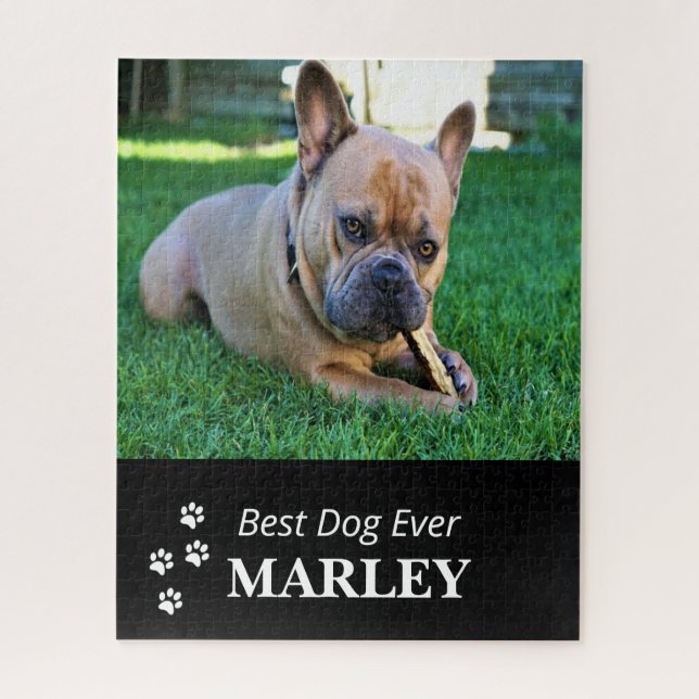 El mejor rompecabezas de perros de la historia (Vertical)