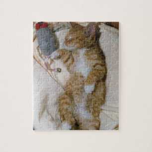 El mejor rompecabezas del gatito: Magia de Butchie