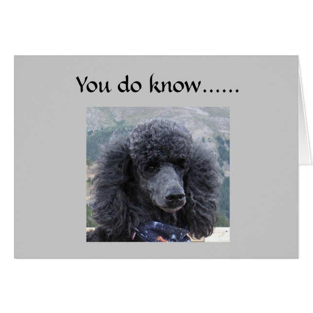 EL MENOR ES INACEPTABLE = 40º HUMOR (Anverso (Horizontal))