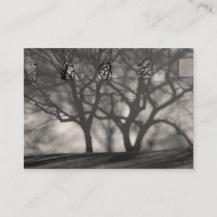 El metropolitano sombrea la tarjeta del ATC