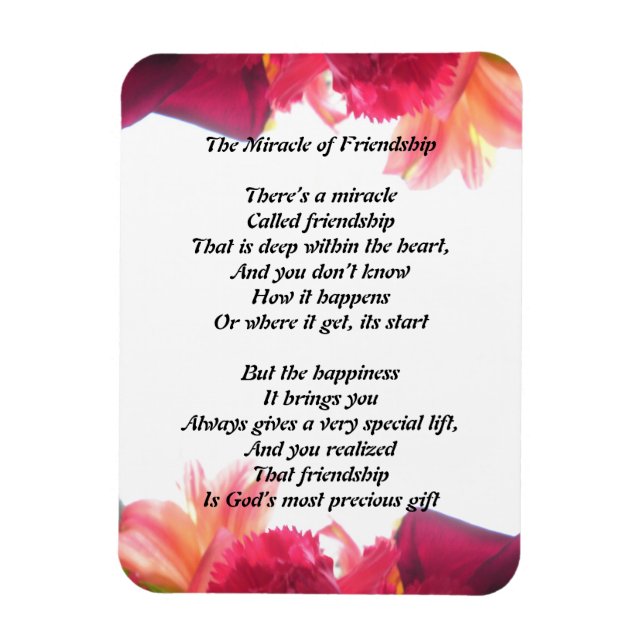 El milagro del imán de la amistad (Vertical)