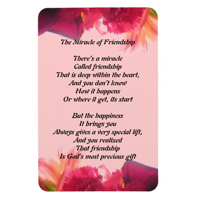 El milagro del imán de la amistad (Vertical)