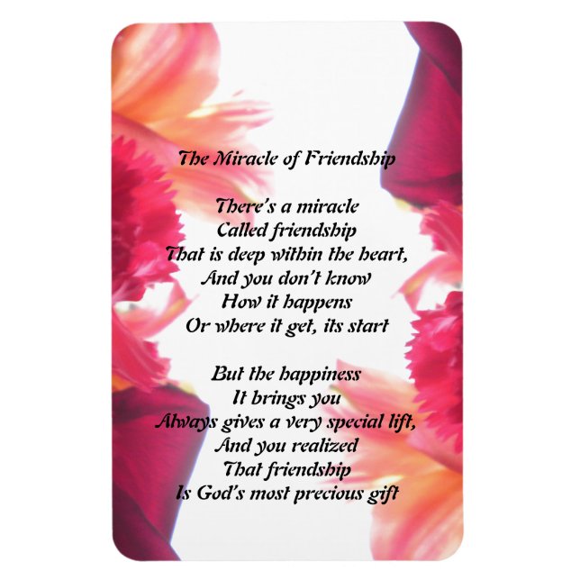 El milagro del imán de la amistad (Vertical)