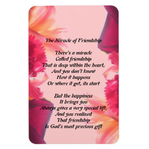 El milagro del imán de la amistad