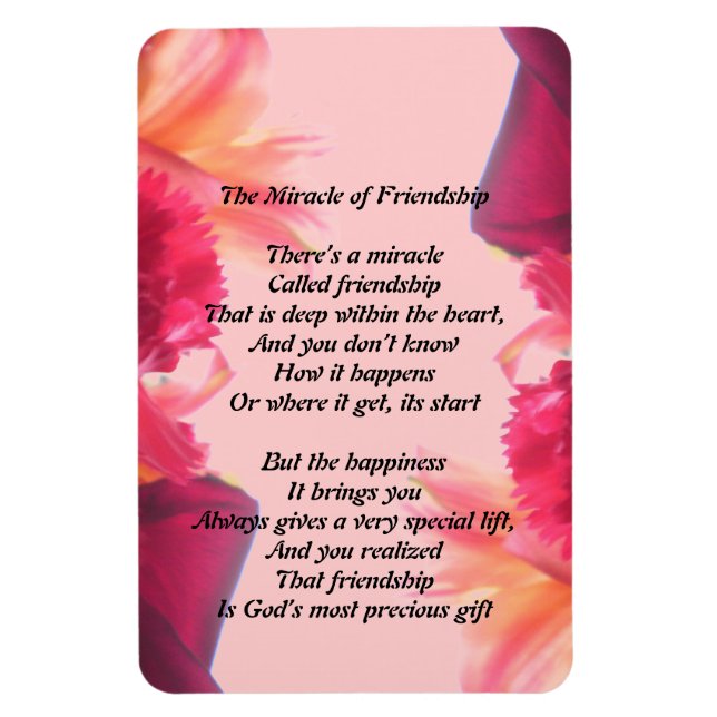 El milagro del imán de la amistad (Vertical)