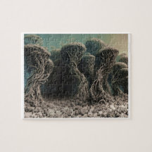 El misterioso rompecabezas del rompecabezas