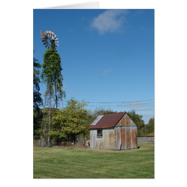 El molino de viento y el lecho (Frente)