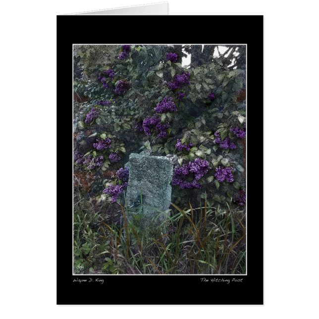 El momento decisivo (Frente)