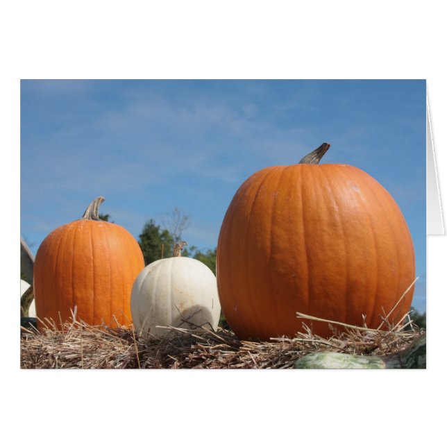 ¡¡¡¡¡¡¡¡EL MOMENTO MÁS DURO!!!!! (Anverso (Horizontal))